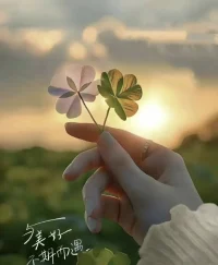 你給自己一個高度，世界總會還你一個尺度。

無論生活怎樣，都不要忘記微笑，

愿你成為自己的太陽，無需憑借誰的光。

早安配圖