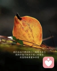 人生最好的活法是：不生悶氣，放過自己，放平心態，保持淡然。當處于人生低谷時，我們就勇敢的修心，將負面情緒化作動力，將困難視為機遇，唯有內心強大，才能在逆境中成長。配圖