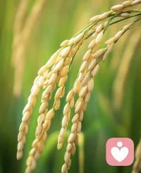總有一些堅(jiān)持，值得堅(jiān)持。

人生的路，不一定總是一帆風(fēng)順，

但請(qǐng)相信，堅(jiān)持下去，一定會(huì)有好事發(fā)生。配圖