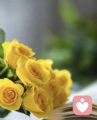 你不必迎合所有人

學會愛自己，世界才會愛你。

#早呀配圖