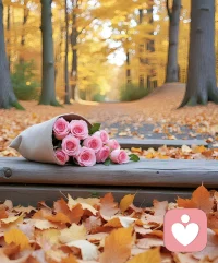 一個能把今天過好的人，明天也壞不到哪里。

一直向前走，等你遇見未來的時候，就會是最美的時候。配圖