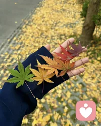 好的人生，從來都是自然從容，腳踏實地的。

愿你我在斑駁的歲月里，擁有緩慢向上的勇氣和力量。配圖