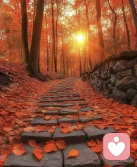 見自己，是一種修行。

在?條這?路上，我?會們?遇到?種各?挑戰和試煉，但?是正?這些經歷，幫?我助?們提升，激?我勵?們覺醒。

每一次跌倒，都是一次成長；每一次痛苦，都是一次凈化。
?
?#“見自己”“悟本心”配圖