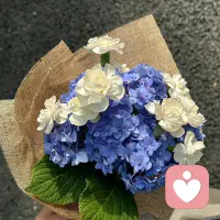 心很貴，一定要裝最美的東西！

情緒很貴，一定要接觸讓你快樂的人！配圖