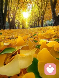 你把時間花在哪里，你的人生就在哪里。

       千萬別看到別人發光，就覺得自己暗淡。

人生如逆旅，你我皆行人。

#早呀配圖