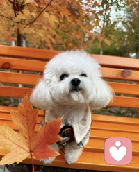 成功，

    也許就是別人放棄的時候，

你多堅持了一會兒。配圖