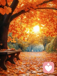 一個人最大的勇氣，

是敢于對抗外界的否定始終遵從自己的內心。

與其在別人的眼光中活的小心翼翼，

不如在自己的空間里，

活的風生水起，

活出自己的快樂！配圖