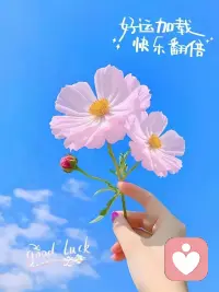 不求所有的日子都泛著光，

只愿每一天，都承載著健康，浸潤著溫暖。

日出有盼，日落有念，

心有所期，忙而不茫，

便是我們的心愿。配圖