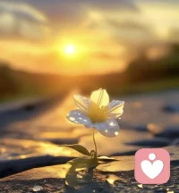 #真正愛自己
1.要愛惜自己的身體
不要讓自己受涼受餓，照顧好自己的衣食起居，而不是為了省錢什么都委屈自己;

2.要停止討好別人。
不要委屈自己，遠(yuǎn)離那些讓自己不舒服的人和事，不要隨便讓一個(gè)人來浪費(fèi)我的時(shí)間;

3.不要活在過去。
過去就讓它過去，你要做的是學(xué)會(huì)放下，活在當(dāng)下;

4.要接納自己，很重要。
允許自己犯錯(cuò)，我們需要的是反思，而不是否定，人生是用來體驗(yàn)的，并不是用來演繹一個(gè)完美。配圖