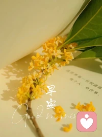 生活，有所為，有所愛，有所期待；

?花會沿路盛開，好運也會如期而至；

?生活中，有風，有雨，也別忘了還有陽光。配圖