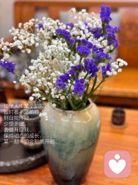 很喜歡的一段話:
“優(yōu)秀的生活狀態(tài)，不是仰望別人，
而是把自己活成一道風景。

       只要自己變優(yōu)秀了，其他的事情都會跟著好起來。無論何時何地，與其羨慕他人，不如花時間充實自己。配圖