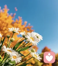 我想……
愛(ài)你而不用抓住你
欣賞你而不須批判你

       和你一起參與而不強(qiáng)求你
離開你亦無(wú)須言歉疚
幫助你而沒(méi)有半點(diǎn)看低你

那么
我倆的相處就是真誠(chéng)的
并且能彼此滋養(yǎng)配圖