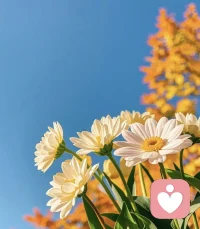 我想……
愛(ài)你而不用抓住你
欣賞你而不須批判你

       和你一起參與而不強(qiáng)求你
離開你亦無(wú)須言歉疚
幫助你而沒(méi)有半點(diǎn)看低你

那么
我倆的相處就是真誠(chéng)的
并且能彼此滋養(yǎng)配圖