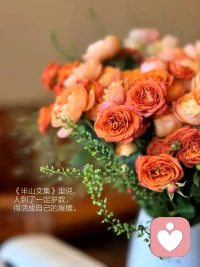 優(yōu)于別人并不高貴，

真正的高貴應(yīng)該是優(yōu)于過去的自己。

——海明威配圖