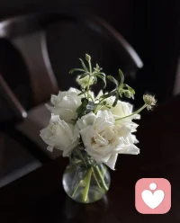 與其仰望別人而失落，

      不如成為自己的光，照亮自己的路，

做自己故事里的主角。配圖