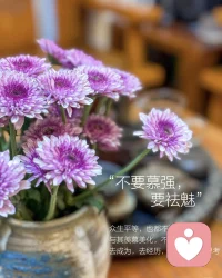 總會有人比你更優秀，

       所以不要跟人去比，做最好的自己就夠了。配圖