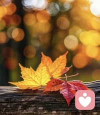 如果你趕不上凌晨五點的日出

不妨看看傍晚六點的夕陽

我的意思是任何時候都不晚配圖