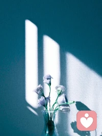 你能給另一個人最好的禮物，就是接納、尊重和愛對方。配圖