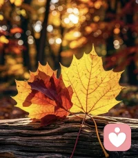 开启元气满满的今天

保持微笑，懂得感恩

所有美好，不期而遇配图