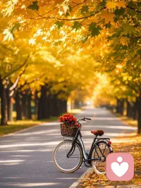 過去的終將成為過去，?

與其羨慕別人的現在，?

不如過好自己的今天。

愿嶄新的十二月，

遇見更好的自己。配圖