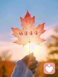 凡是你抗拒的都會(huì)持續(xù)存在，

凡是你接納并深刻去體驗(yàn)的，

都會(huì)成為喜悅。配圖