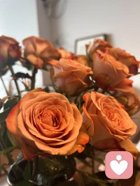 成長是一個不斷自我提升的過程，

       而學會自我負責，意味著我們終于有能力去正視現實并不斷努力提升自己。

早安配圖