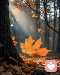 在每一個充滿希望的清晨，

告訴自己努力總能遇見更好的自己。

用努力開啟新的一周，當好運來臨時，

就會知道一切都值得，早安！配圖