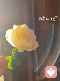 我们没有办法无限延续生命的长度，

       却可以增加生命的宽度和厚度。配图