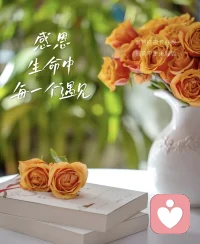 过度考虑别人的感受，是一种对自己的不认同。

      自私的人很少自卑，无知的人很少敬畏，招人烦的人很少不开心

反倒是守规则的人更容易被冒犯，懂事的人更容易被亏待，满心是歉意的人更容易遍体鳞伤。配图