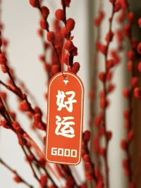 人生充滿可能，恰需要我們不斷精進自己。

        練就解決復雜問題的實力和智慧，才能擁有面對挑戰的自信和底氣。配圖