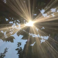 努力從來不會白費，今日撒下的種子

       正在我們看不到的地方悄悄發芽。

我們要做的就是用踏踏實實的行動守護夢想，期待它開花結果的那一天。

?配圖