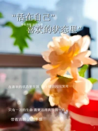 平庸的人用熱鬧填補空虛，優秀的人用獨處成就自己！配圖