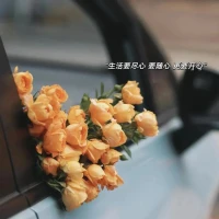 周六愉快

時間像種子
你澆灌什么

就破土成什么
腳步丈量的地方，
終會開出花、成為路配圖