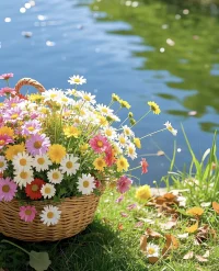 時(shí)間花在哪里，

人生的花就開(kāi)在哪里。

——早安配圖