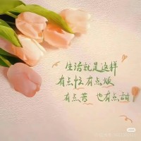 #愿你成为自己的太阳
在无人鼓掌的时刻，你依然是自己的光。

不必追逐外界的温度，不必等待他人的认可，你本就拥有驱散阴霾的力量。

那些蛰伏的日子，都是在为发光蓄力。

从今天起，做自己的太阳，温暖且坚定，光芒无需借谁的光。
​
​#向您问安配图