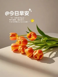 心态好 ，则事事好；
心放宽 ，则事事安！

启程新日☀️
早安~愿你且忙，且满，且安。配图