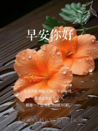 生活总有起落，保持微笑，

低谷时沉淀，高峰时绽放，新的一天，向阳而生。

早安！