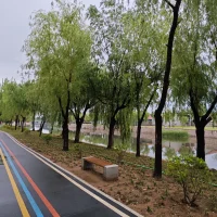 不是每朵花都会在春天盛开，

但泥土的沉淀、时光的等待，

终会让你在属于自己的季节，

绽放出独一无二的光彩。✨

早安～加油！