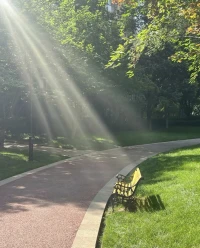 清晨的风带着点清甜，阳光正悄悄爬上窗沿。

新的一天开始了，不管昨天有多少未完成的事，此刻都可以轻轻放下。

给自己一杯热饮的时间，慢慢唤醒身体，然后带着微笑出门——今天也会有温柔的小事在等你呀。

早安～🔆配图