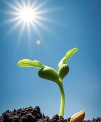 岁月不会辜负每一个用力生活的人。

把抱怨换成行动，把犹豫变成果敢，在琐碎日常中坚守热爱，在平淡岁月里积攒能量

相信时光终会把你的付出，兑换成一份恰到好处的惊喜。