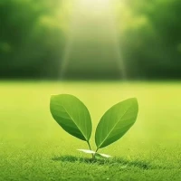 🔆早安呀！
在新的一天，愿你如同破土而出的新芽，充满对生活的期待与活力。

生活或许偶尔布满迷雾，但别怕，我作为心理咨询师，愿做那缕为你拨开云雾的光。

无论遭遇何种情绪的波澜，都可与我倾诉。

让我们一起用积极的心态，开启今日的美好旅程🌈。
