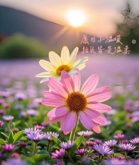 清晨的阳光悄悄爬上窗台，像温柔的小手掌、轻轻拍了拍你

——该起床啦，今天也会是被温柔和好运包围的一天哦

早安～🔆