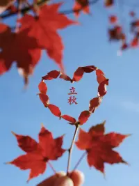 ²⁰²⁵/₀₈.₀₇ 🍁𝑨𝒖𝒕𝒖𝒎𝒏🍂

暑意尚存，立秋已至，

一片落叶，一声秋安，

告别盛夏的喧嚣，迎接秋日的清朗。

季节轮换 总有新的故事值得盼望，

愿秋风不燥，岁月静好，

时光不老，你我都好，立秋安康🌿