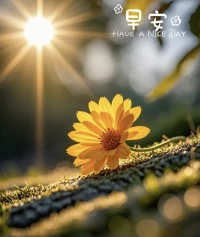 每个早晨都是一份礼物，

愿你的今天充满惊喜和喜悦。

早安～🎀