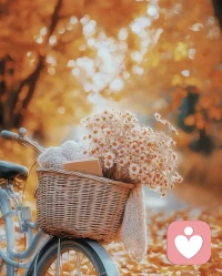 2?2?/??.??
??晨光輕輕喚醒世界，秋天的美好正在發(fā)生～愿我們：

眼里有溫柔，心中有期待，日日皆歡喜，把每一天都過成自己喜歡的樣子。

周二愉快??配圖