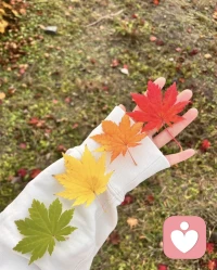 新的一天，新的开始。

愿你在早安的问候中找到力量，让心灵得到疗愈。