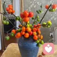 生活不会因为你的抱怨变好，
只会因为你的努力而改变；

与其把时间花在内耗上，
       不如静下心来自我赋能；

当你变得足够优秀，
所有的好运都会如期而至。