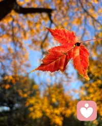 周日早安～ ??

愿你今天沒有必須完成的事，只有心甘情愿的歡喜。

允許情緒自然流動，也接納此刻的自己所有模樣，愿這份松弛感，伴隨你一整天的舒心與自在??