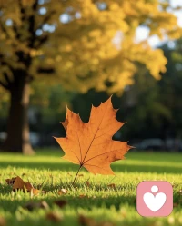 早安～ ??
      新的一天，不必追求事事完美，允許自己帶著小疲憊、小迷茫慢慢前行。

愿你能聽見內心的聲音，也能被生活溫柔接住，今天也好好關照自己呀～配圖