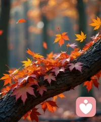 周一的清晨
或许带着一丝疲惫与迷茫，但没关系，情绪从没有对错之分。

早安呀
我是心理咨询师——心语

新的一周，愿你能和自己的内心好好相处✨